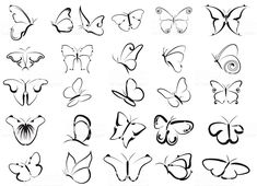 the different types of butterflies in black and white