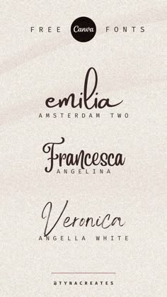 some type of font that is in different colors and sizes, with the names below it