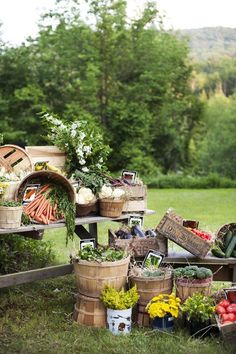 an assortment of fruits and vegetables sitting on top of a wooden table in the grass