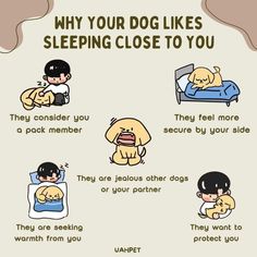 a poster with instructions on how to sleep