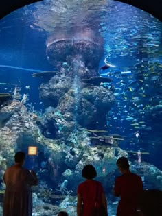 people looking at an aquarium with fish in it