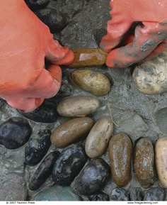 two hands are touching rocks on the ground