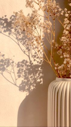 the shadow of a plant in a white vase on a wall next to a radiator