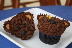 two cupcakes are decorated like hedgehogs on a white plate with blue table cloth