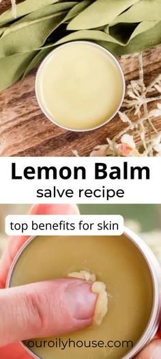 Kawakawa Balm Recipe, Dried Lemon Balm Uses, Kawakawa Balm, Lemon Balm Salve, Lemon Balm Oil