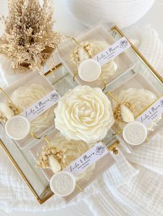 four clear boxes filled with white flowers on top of a table