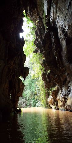 the entrance to a cave with water and trees in the backgroung area