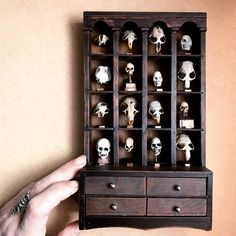 a person holding up a display case with skulls on the front and sides, all in different shapes and sizes