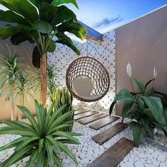 a garden with plants and a hanging chair