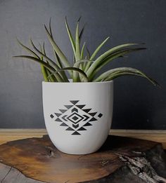 a potted plant sitting on top of a wooden stump