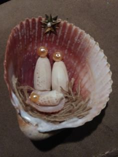 two small shells are sitting in a shell