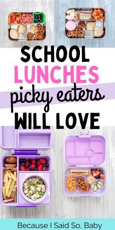 school lunches picky eaters will love by because i said so baby,