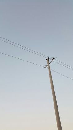 two birds sitting on top of power lines in the middle of an open field,