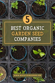 5 Best Organic Garden Seed Companies Abundant Garden, Heirloom Garden, Sustainable Food Systems