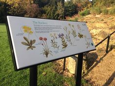 a sign that is in the grass near some trees and bushes with flowers on it