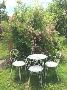 three white metal chairs and a table in the grass with pink flowers behind them on a sunny day