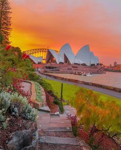 the sydney opera house is lit up at sunset