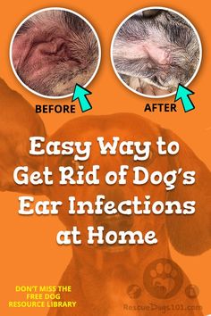 two dogs are shown with the words easy way to get rid of dog's ear in