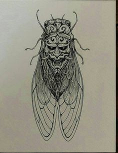 a black and white drawing of a fly insect