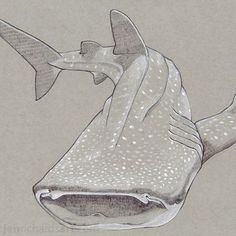 a drawing of a fish with its mouth open