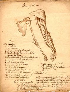 an old book with a drawing of a human leg and the bones in it's lower half