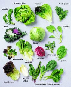 the different types of lettuce are shown in this image, including leafy greens and