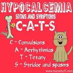 a poster with the words hypocal cema signs and syphons cats