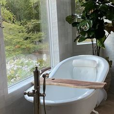 a white bath tub sitting next to a window with a plant in the corner and a wooden stick sticking out of it