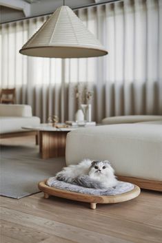 a cat laying on top of a bed in a living room