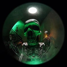 there is a green light in the dark with a skeleton and two skeletons on it