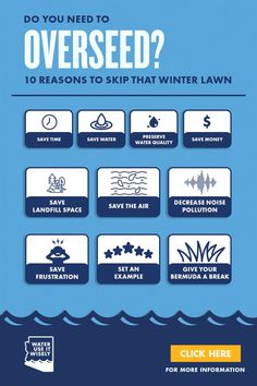 what do you need to overseed? 10 reasons to ski that winter lawn info