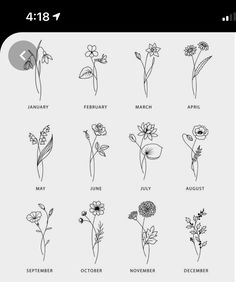 an iphone screen showing flowers and their names