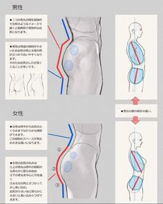 the diagram shows how to draw an arm and shoulder with blue lines on each side