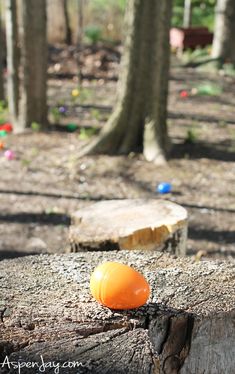 an orange object sitting on top of a tree stump in the woods near some trees