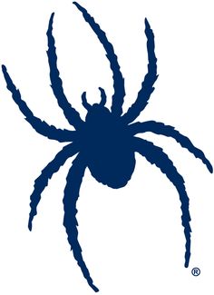 a blue spider silhouetted against a white background