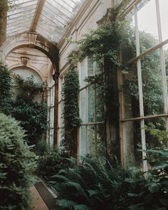 the inside of a building with lots of windows and plants growing on the outside wall