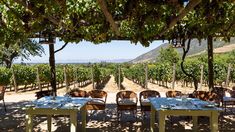 an outdoor dining area with tables and chairs under a canopy over looking the vineyards