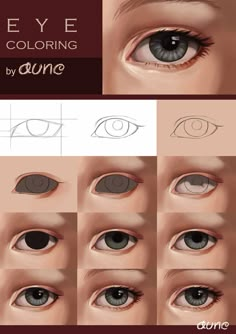 the different types of eyes and how to draw them