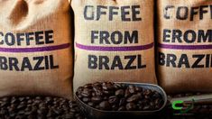 Exportação de café cresce 38%, totalizando US$ 12,339 bilhões.