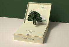 an open box with a paper cut out of a tree in the shape of a tea bag