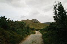 a dirt road in the middle of some bushes and trees with a mountain in the background