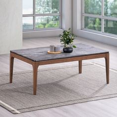 a coffee table with a potted plant on it in front of two large windows