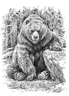 a black and white drawing of a bear sitting on the ground with trees in the background