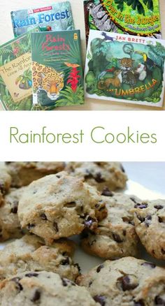 chocolate chip cookies and children's books sitting on a white plate with green border