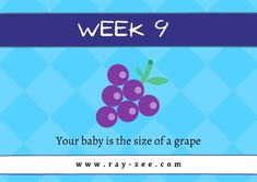 a blue background with the words, week 9 your baby is the size of a grape