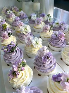 there are many cupcakes with purple and white frosting