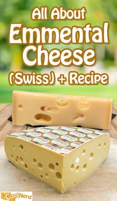 all about environmental cheese swiss + recipe