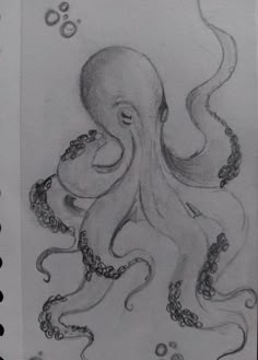 an octopus with chains on it's neck is shown in this pencil drawing by the artist