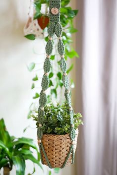 there is a plant hanging from the ceiling with some plants in it and a potted plant next to it