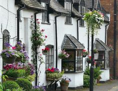 a row of white houses with flower pots on the windows and plants growing in them